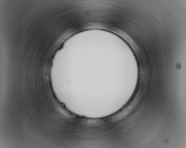 X0000101390857200808041015