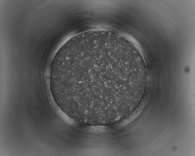 X0000101390859200808041015