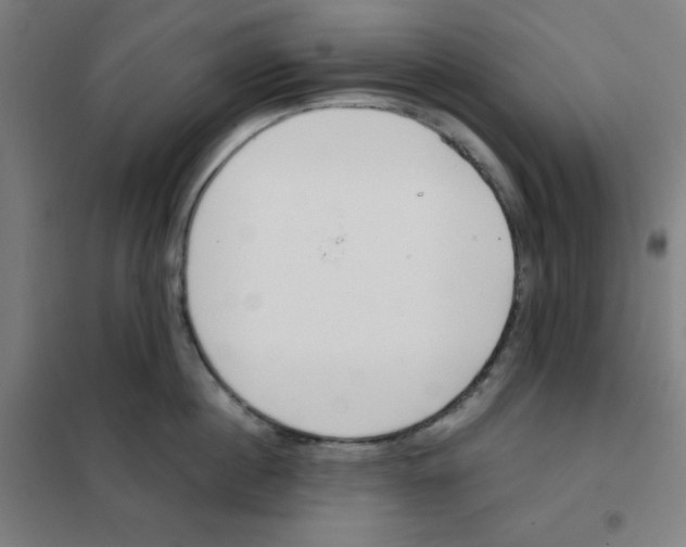 X0000101390860200808041015