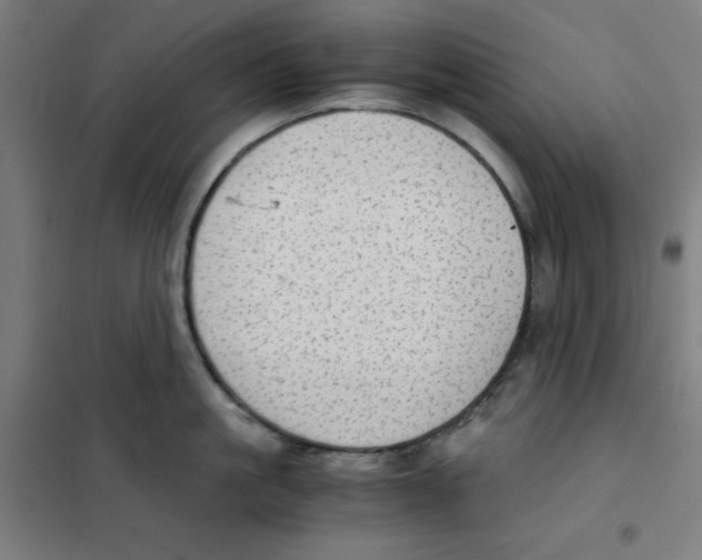 X0000101390861200808041015