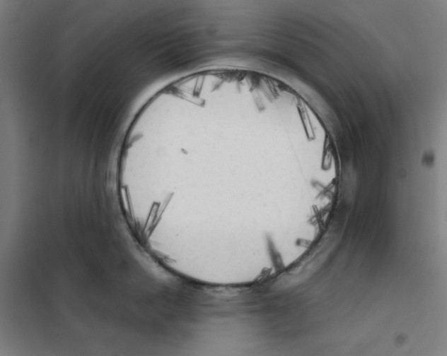 X0000101390862200808041015