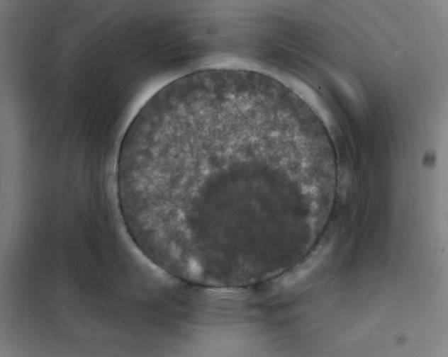 X0000101390863200808041015