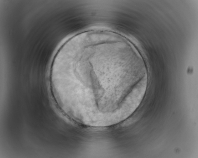 X0000101390864200808041015