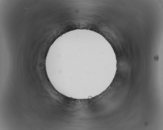 X0000101390865200808041015
