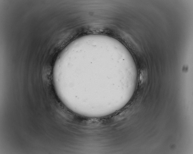 X0000101390867200808041015