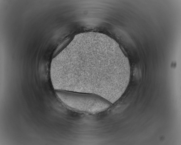 X0000101390868200808041015