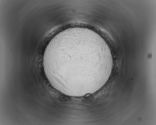 X0000101390870200808041015