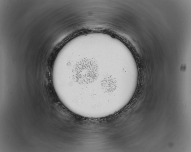 X0000101390871200808041014