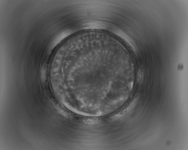 X0000101390874200808041014