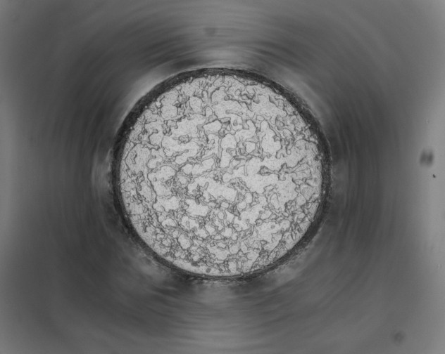 X0000101390875200808041014