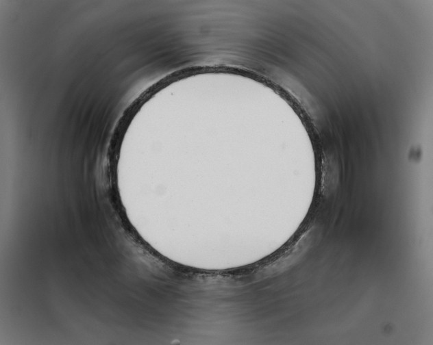 X0000101390876200808041014