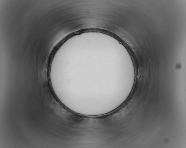 X0000101390877200808041014