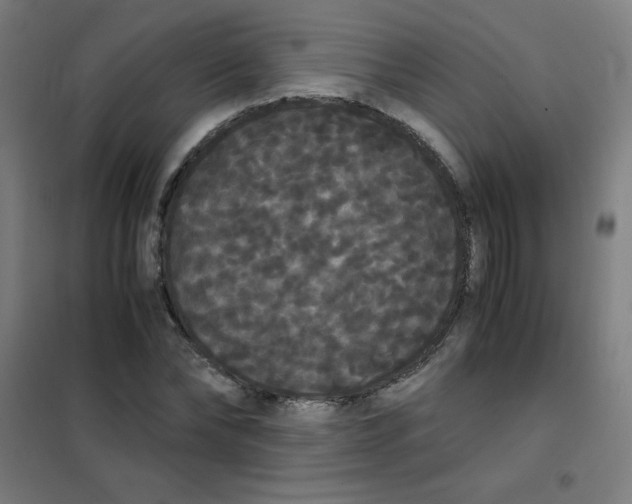 X0000101390878200808041014