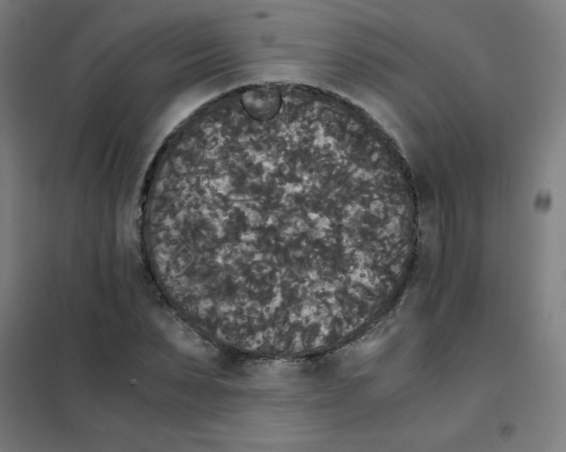 X0000101390879200808041014