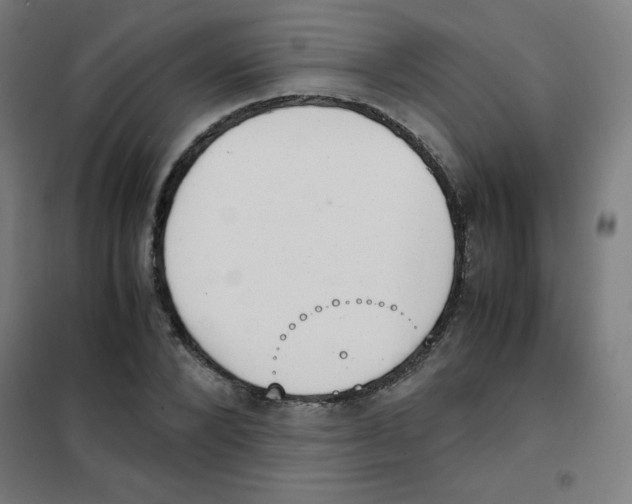 X0000101390880200808041014