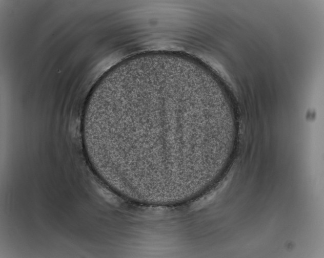 X0000101390881200808041014