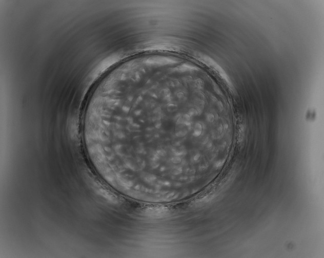 X0000101390882200808041014