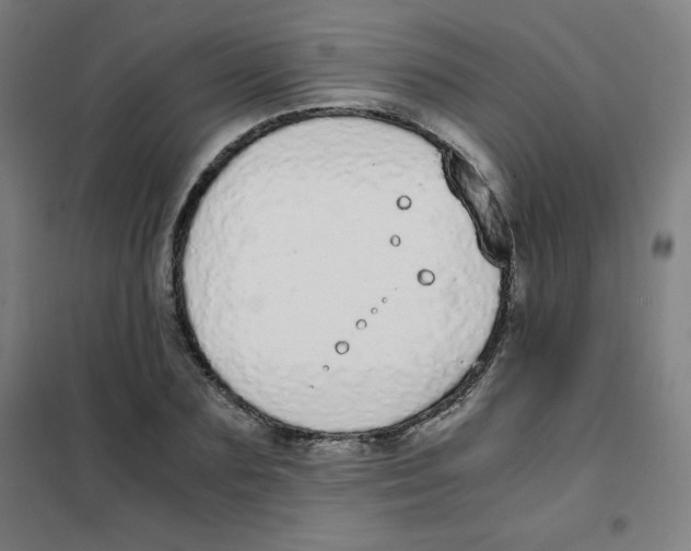 X0000101390883200808041014
