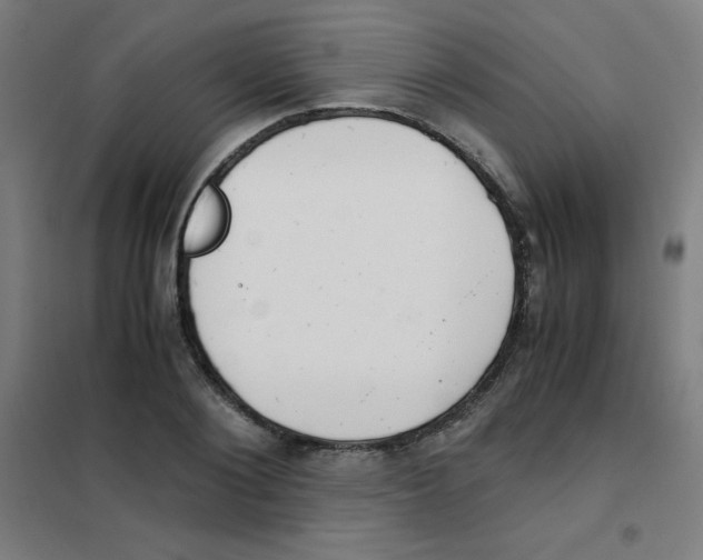 X0000101390884200808041014