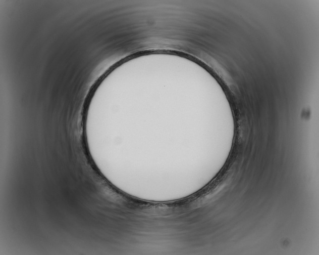 X0000101390885200808041014