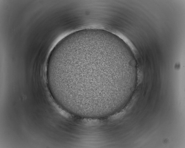 X0000101390886200808041014