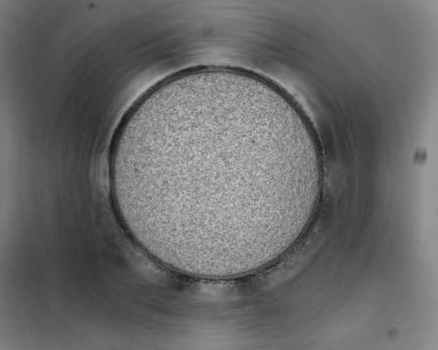 X0000101390887200808041014