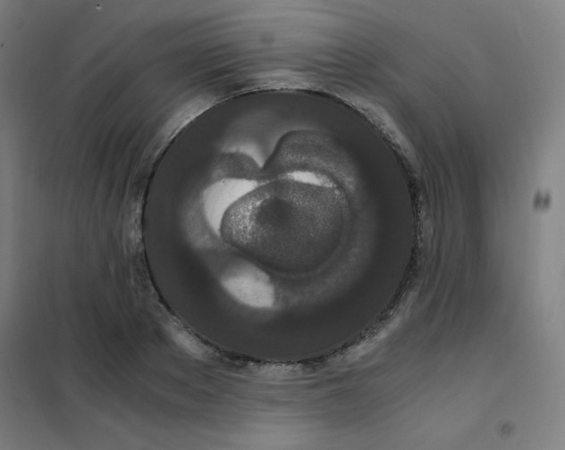 X0000101390889200808041014