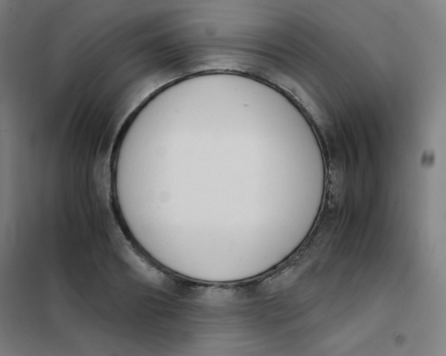 X0000101390890200808041014