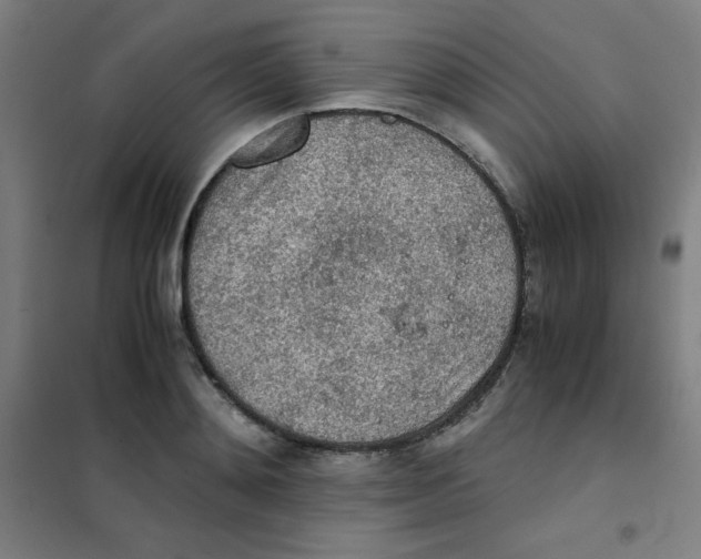 X0000101390892200808041014