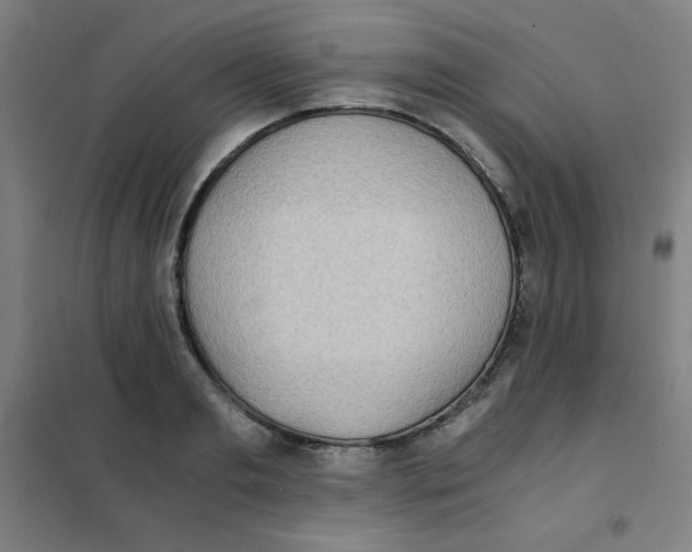 X0000101390893200808041014