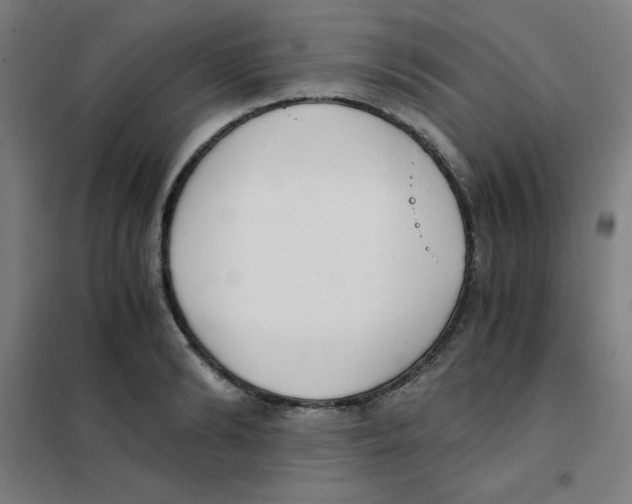 X0000101390894200808041014