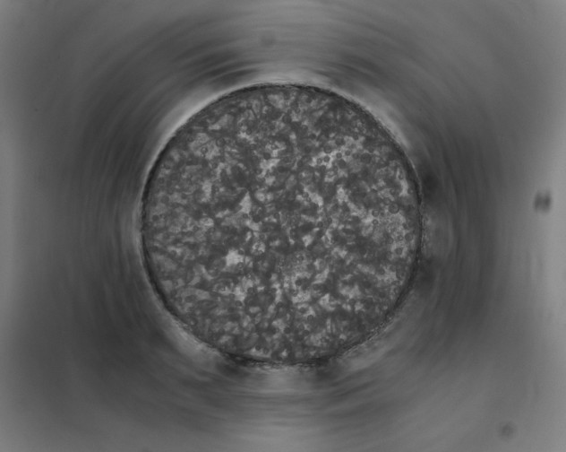 X0000101390895200808041014