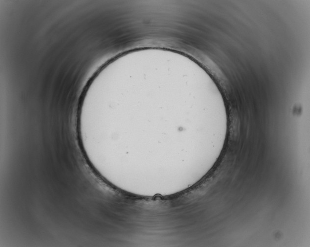 X0000101390896200808041014