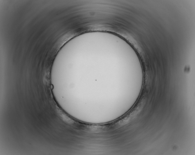 X0000101390897200808041014