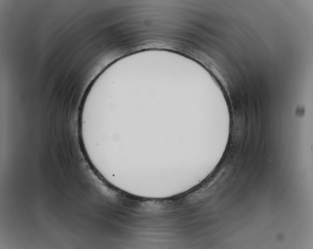 X0000101390898200808041014