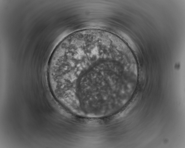 X0000101390899200808041014