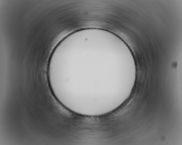 X0000101390901200808041014