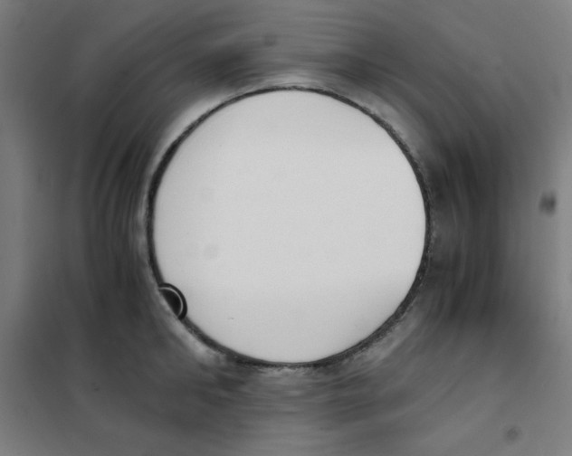 X0000101390902200808041014