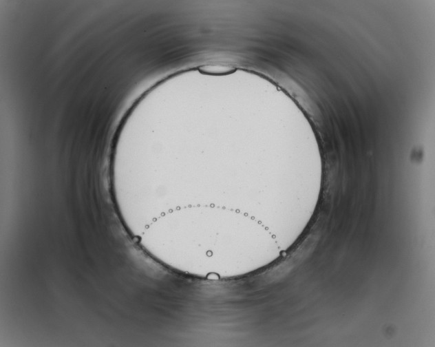 X0000101390904200808041014