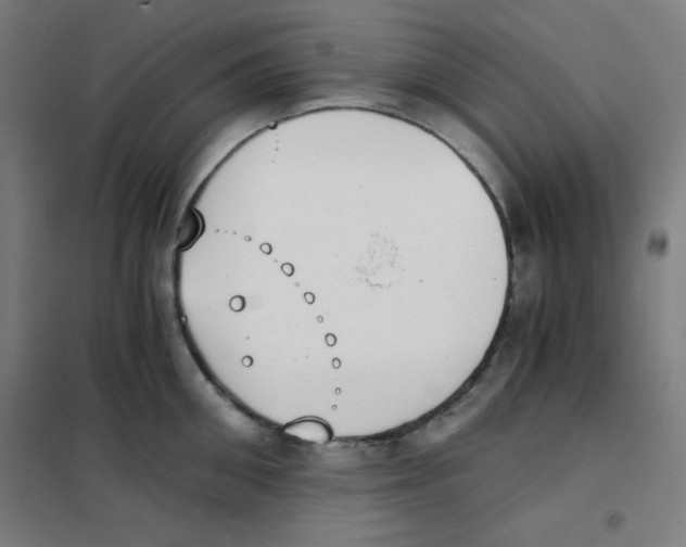 X0000101390906200808041014