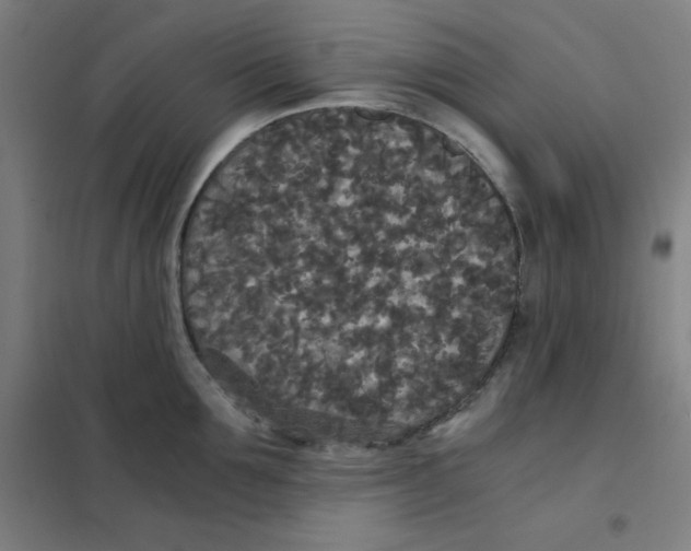 X0000101390907200808041014