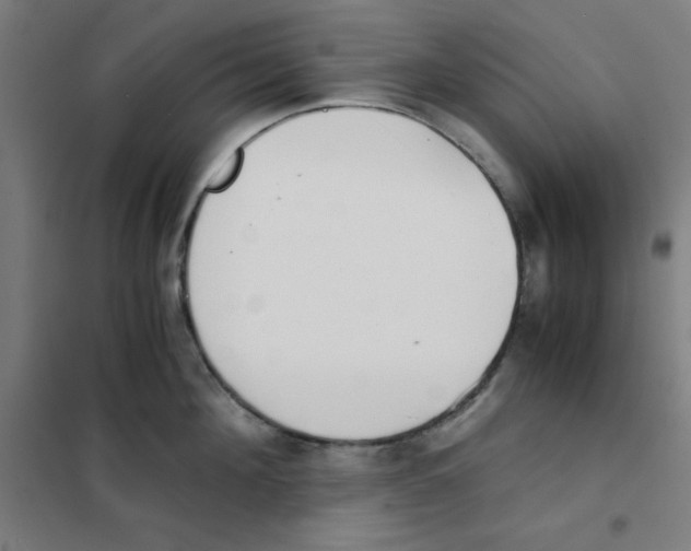 X0000101390908200808041014