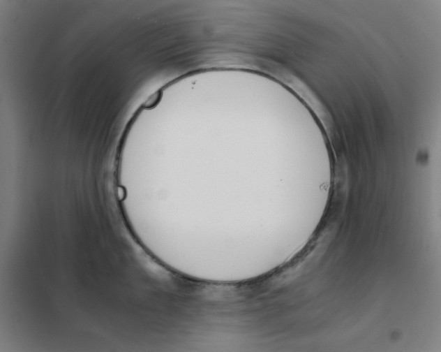 X0000101390909200808041014