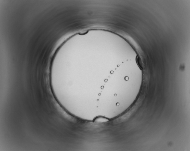 X0000101390910200808041014