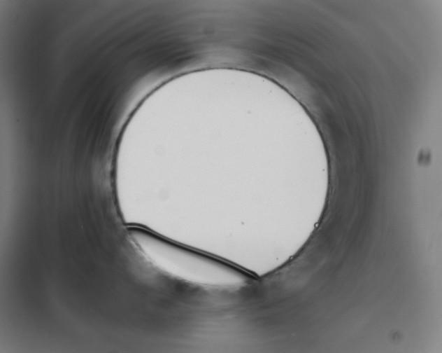 X0000101390912200808041014