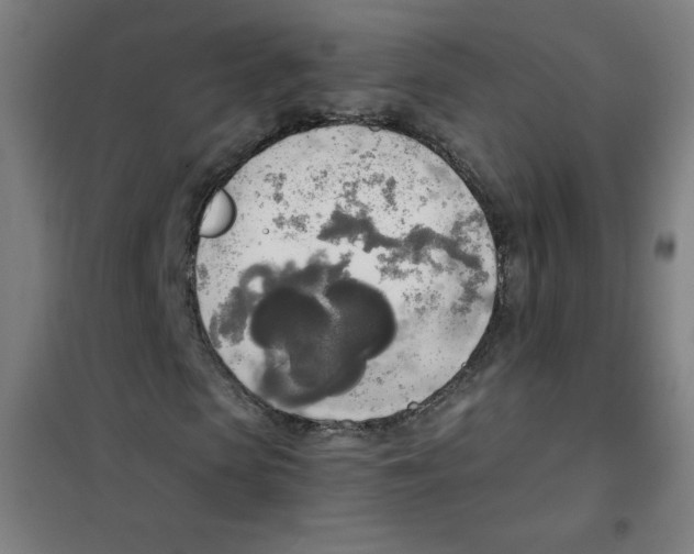 X0000101390913200808041013