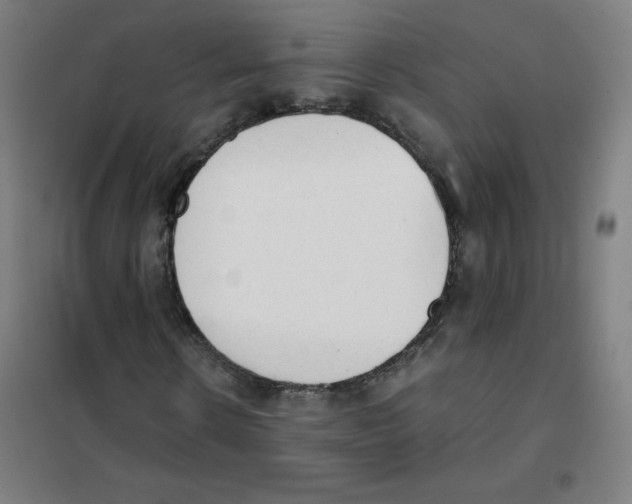X0000101390914200808041013