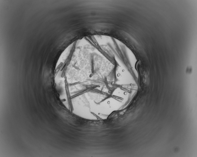X0000101390915200808041013