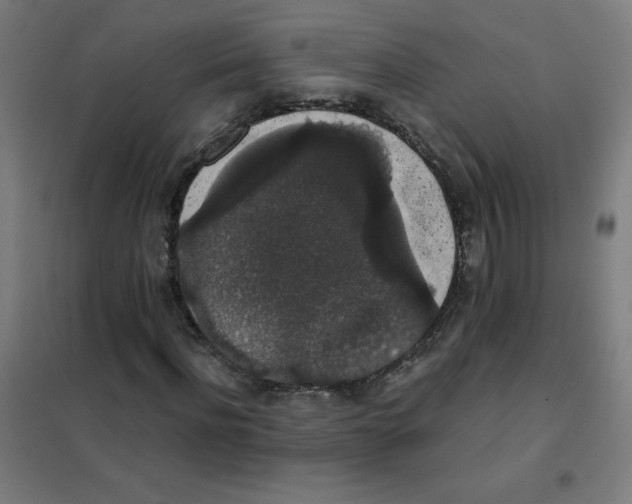 X0000101390916200808041013