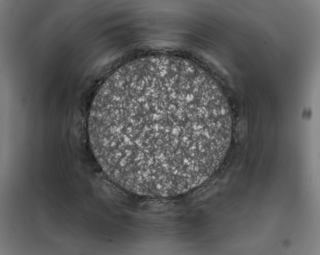 X0000101390917200808041013